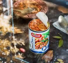 تصویر 1 از قیمت ویژه کنسرو لوبیا چیتی 420 گرمی با قارچ + خرید عمده